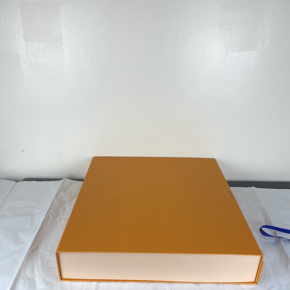 Louis Vuitton Storage Box - Large - Picture 3 of 8